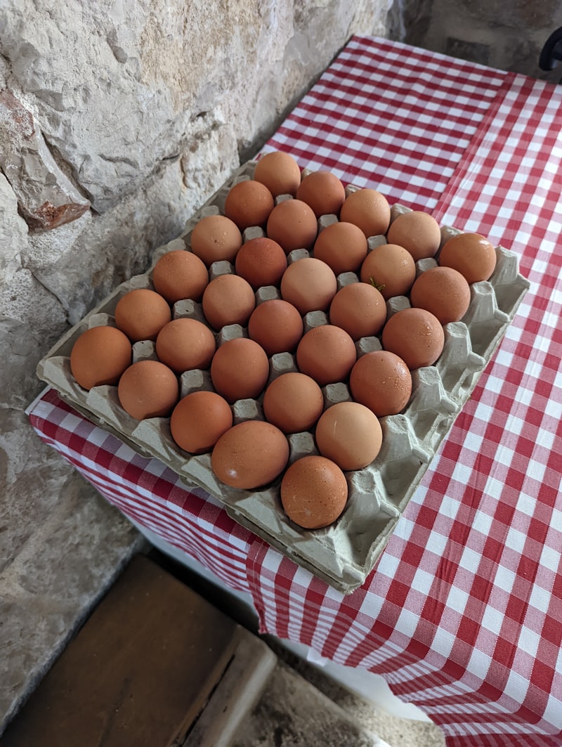 Large Eggs (12 ct)